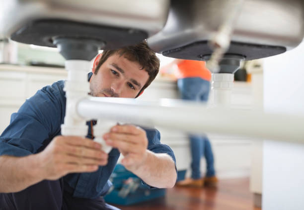 Best Local Plumber Services  in East Flat Rock, NC