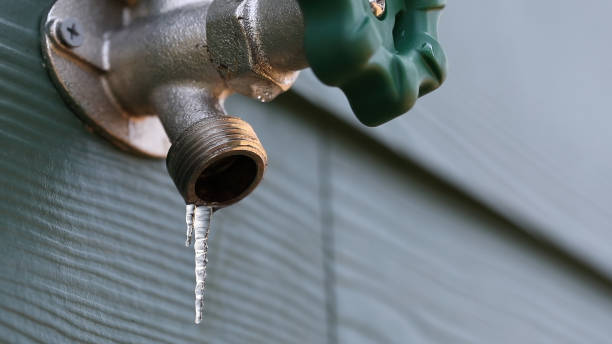 Best Clogged Drain Plumber  in East Flat Rock, NC
