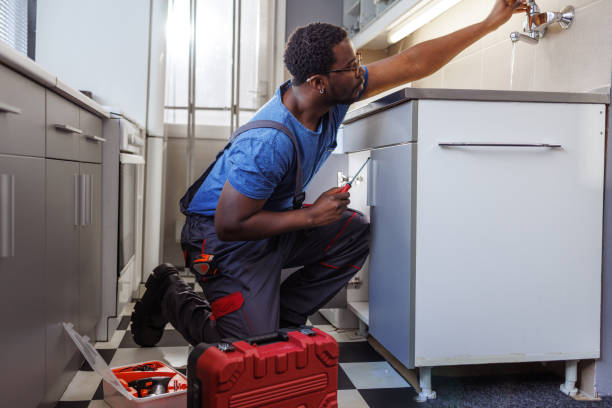 Best 24-Hour Plumber Near Me  in East Flat Rock, NC